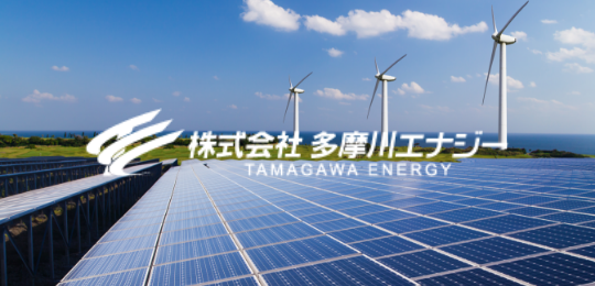 Renewable Energy Business